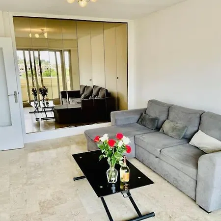 Apartment Climatise 2 Pieces Vue Terasse Parking