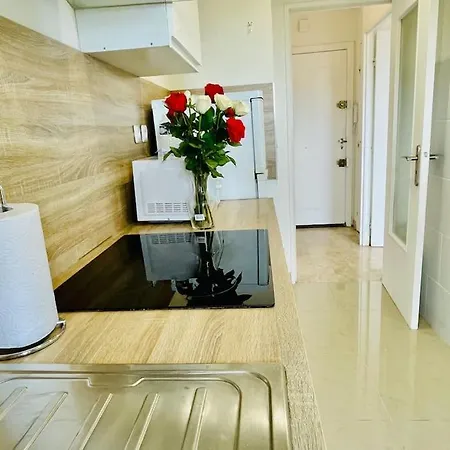 Apartamento Climatise 2 Pieces Vue Terasse Parking Rocabruna